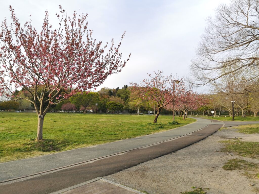 加瀬沼公園の遊歩道