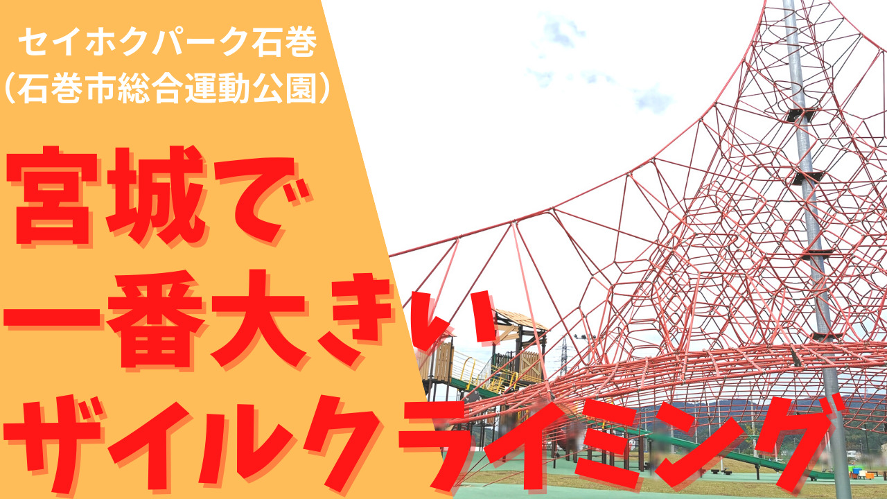 宮城で一番大きなザイルクライミング 日本最大級 石巻市総合運動公園 ｋパパの仙台おでかけ